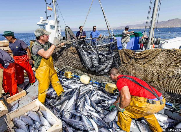 El acuerdo de la UE sobre la pesca permite faenar “casi los mismos días” si lo hacen de forma sostenible