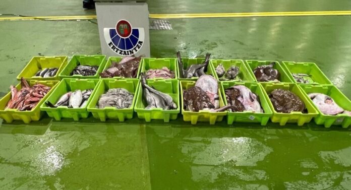 Interceptan en Ondarroa un vehículo que transportaba 375 kilos de pescado en condiciones de insalubridad
