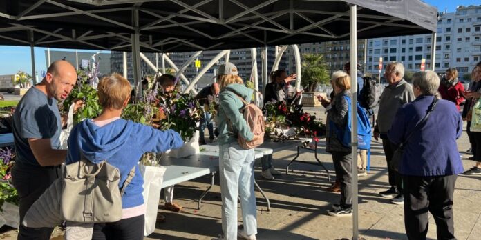 Comienza el reparto gratuito de flores y plantas en Donostia