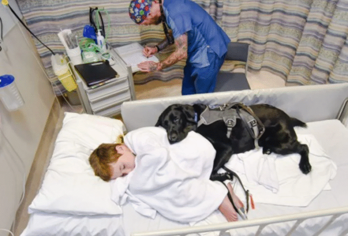 Osakidetza pone en marcha un proyecto para permitir que los perros acompañen a sus dueños hospitalizados