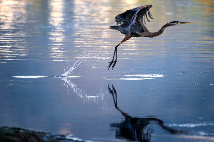 Nafarroako Gobernuak nekazaritza iturrietatik datozen nitratoekiko kalteberak diren zazpi eremu berritako uraren kalitatea kontrolatuko du