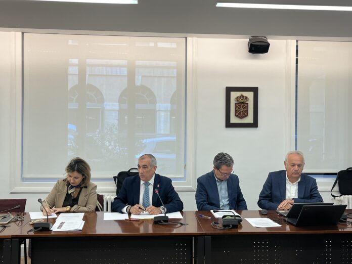 Lurralde Antolamendurako Batzordeak ontzat eman du Iruñeko NUPeko UGPSa berriz mugatzeari, unibertsitate eremua biziberritzeko, etxebizitzak eraikitzeko eta espazio berdeak sortzeko lehen urratsa