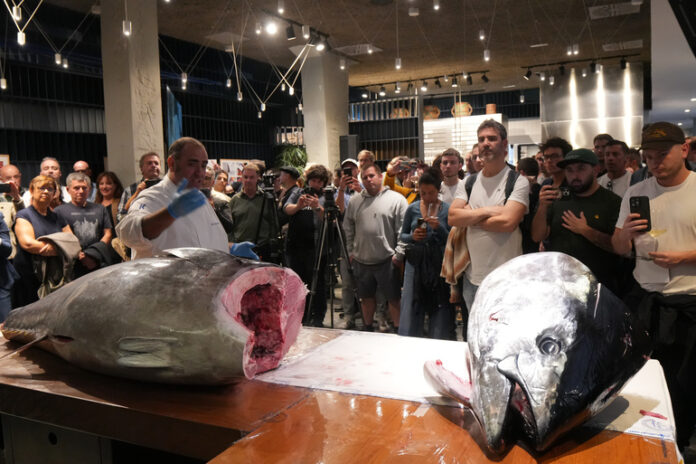 Kofradia-Itsas Etxea celebra el primer Kaitai del atún rojo del Cantábrico para impulsar una pesca sostenible
