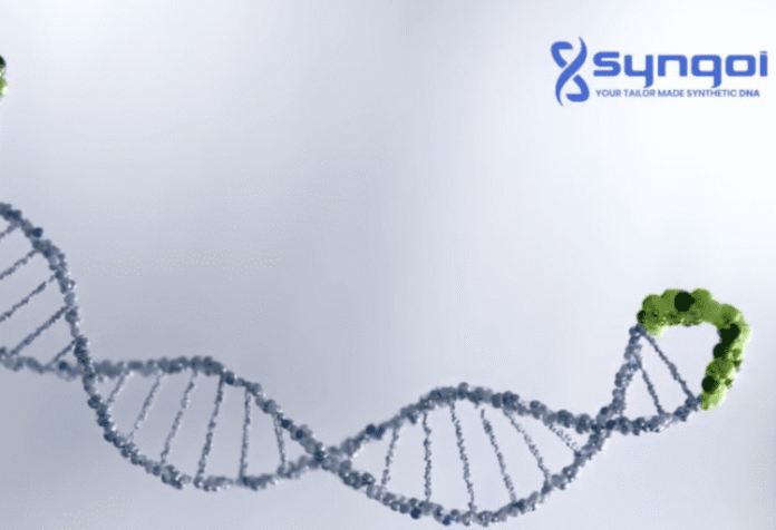 «Euskadi erreferentzia da Europan biozientzietan eta terapia aurreratuen fabrikazioan»