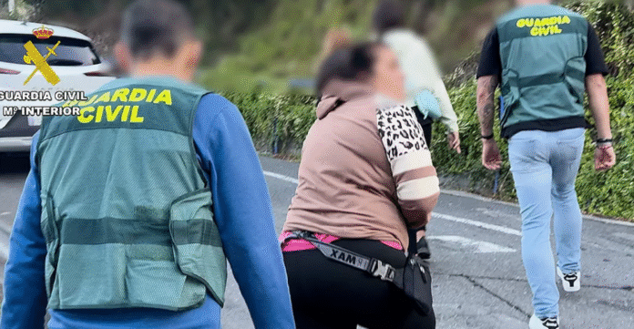 Desarticulada una red que estafaba con falsas adopciones de mascotas en internet