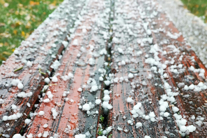 Nafarroako Gobernuak beste hiru herritara zabaldu ditu 2025eko euri-jasen ordainak eta zerga-salbuespenak