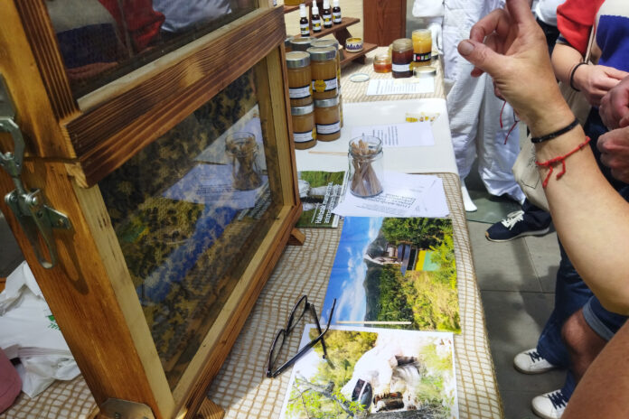 Ingurumenak deialdia ireki du 2026ko ingurumen-arloko hezkuntza, sentsibilizazio eta boluntariotzako eta herritarren zientziarako proiektuak jorratzeko