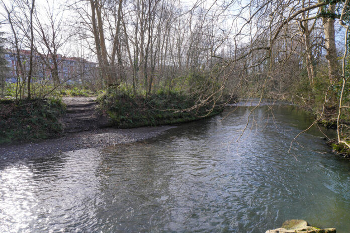 Errenteriak eta URAk Oiartzun ibaiaren ezkerraldeko ingurumen-lehengoratze lanak amaitu dituzte Fanderia parean