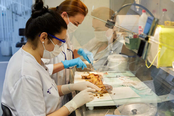 Euskadi lucha contra las enfermedades raras con 250 proyectos de investigación activos