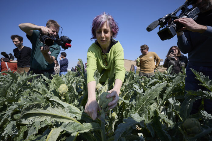 Nafarroak bere turismo gastronomikoa sustatu du Erriberan hogeita hamar bat kazetari eta eduki sortzaile inguru bildu dituen jarduera batean