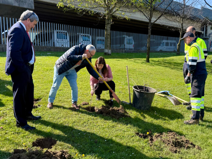 Barakaldok BEC ingurua birnaturalizatzea bultzatu du, bertako 4.000 zuhaitz eta zuhaixka landatuz