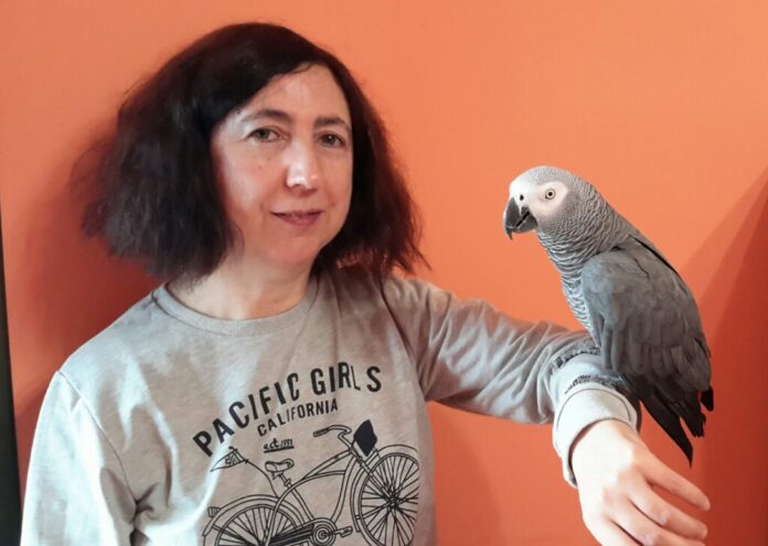 ‘Berritxu’, el loro más viral, lleva cinco días desaparecido